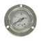20bar All Stainless Steel Pressure Gauge Panel Mount With Glass Lens